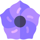 petunia icon