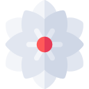 astrantia icon