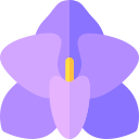 orquídea icon