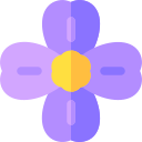 aubrieta icon