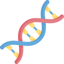 estructura del adn