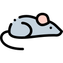 ratón