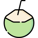 bebida de coco icon