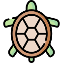 tortuga icon