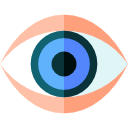 ojo icon