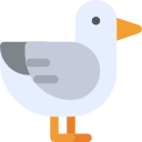 gaviota icon