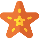 estrella de mar icon