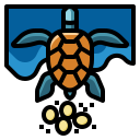 tortuga icon