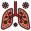 pulmones icon