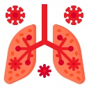 pulmones