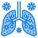 pulmones