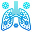 pulmones