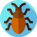barata 