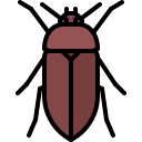 escarabajo icon