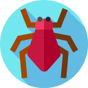 Aphid 
