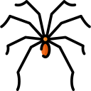 aranha 