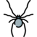aranha 