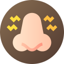 nasal icon