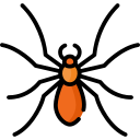 aranha 