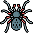 aranha 