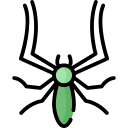 aranha 