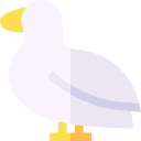 pato icon