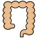 colon icon