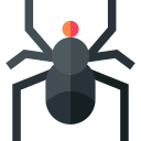 araña icon