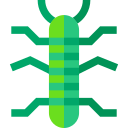 phasmatodea icon