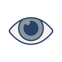 ojo icon