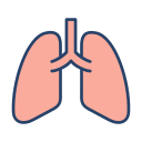 pulmones icon