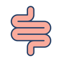 intestino icon