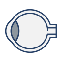 globo ocular icon