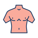 torso icon