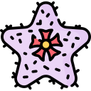 stapelia icon