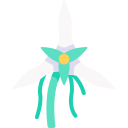 angraecum icon