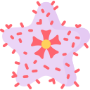 stapelia icon