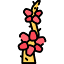 medinilla icon