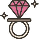 anillo icon