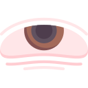 ojo icon