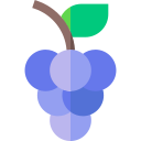 uvas icon