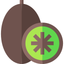 kiwi icon