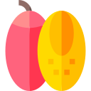 tamarillo icon