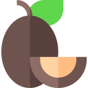 zapote icon