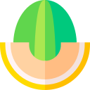 melón icon