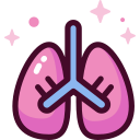 pulmones icon