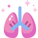 pulmones icon