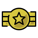 medalla estrella icon