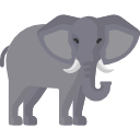 elefante icon