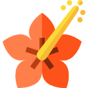 hibisco icon